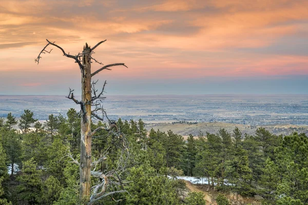 Crepúsculo sobre planícies e contrafortes do norte do Colorado — Fotografia de Stock