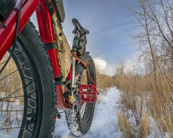 Λίπος ποδήλατο μονοπάτι χειμώνα — Φωτογραφία Αρχείου