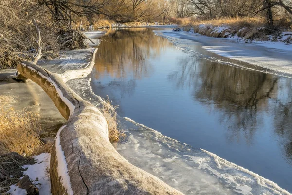 Poudre Fluss in winterlicher Landschaft — Stockfoto