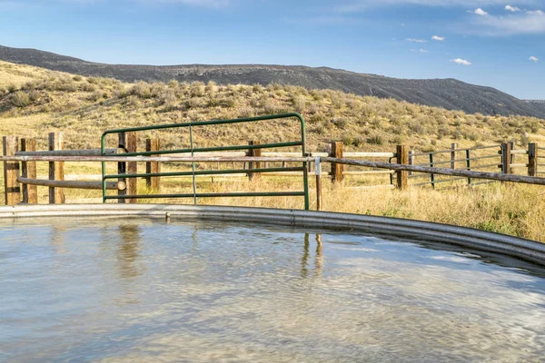 コロラド州の丘陵地帯で牛水槽します。 — ストック写真