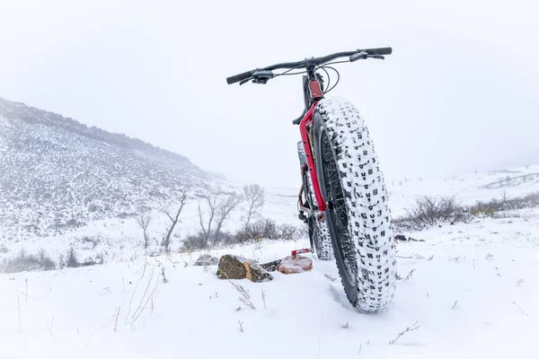 雪吹雪の中で脂肪の自転車 — ストック写真