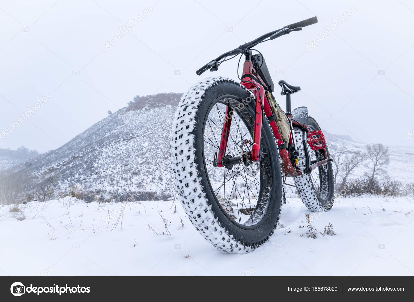 blizzard fat bike