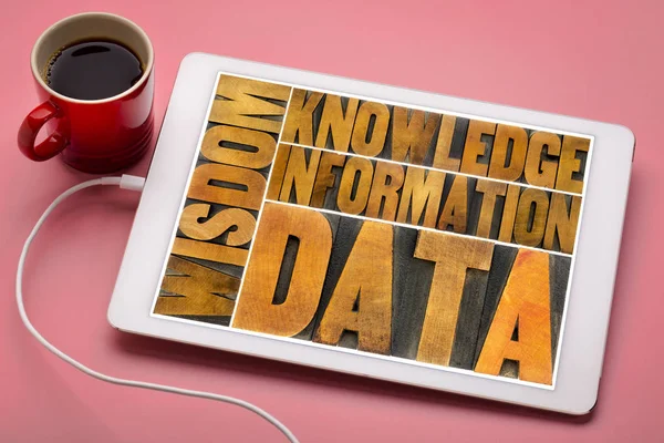 数据、 信息、 知识、 智慧的概念 — 图库照片