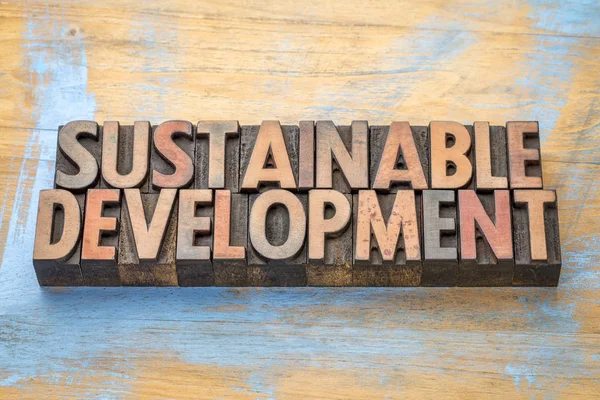 Sviluppo sostenibile - parola astratta nel tipo legno — Foto Stock