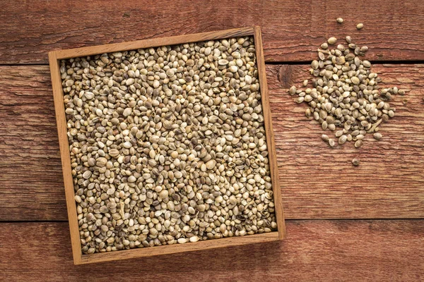 Organic dried hemp seed — Stock Photo, Image