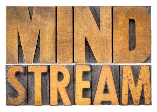 Mind stream word abstract in wood type — Stock Photo, Image