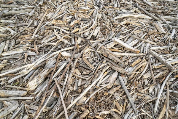 Background of drift wood on river shore — Stock Photo, Image
