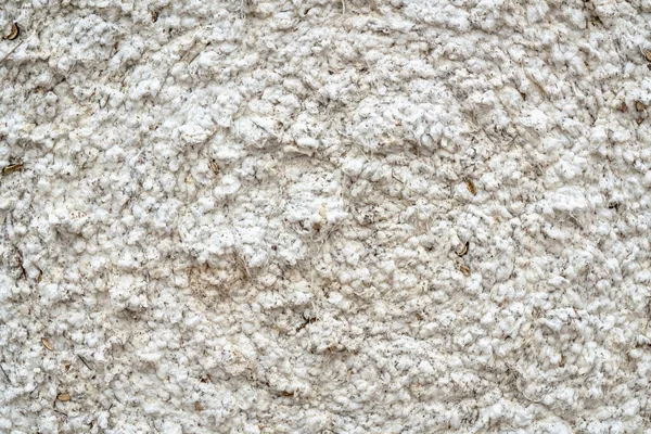 Textur på skördade bomullsbalar — Stockfoto