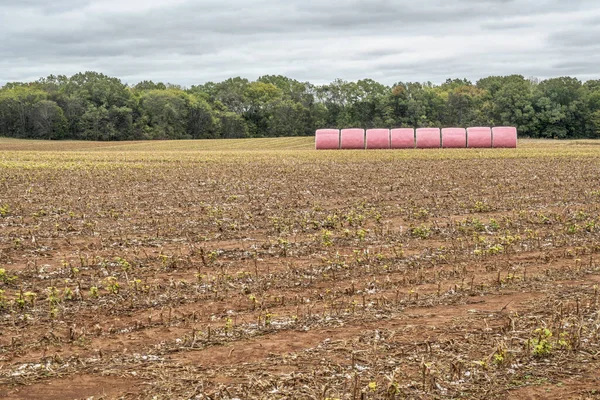 Round cotton bales in pink wrappers — Stock Photo, Image