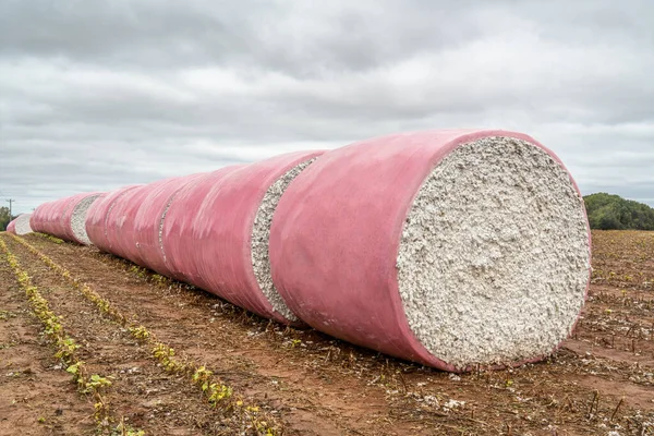 Round cotton bales in pink wrappers — Stock Photo, Image