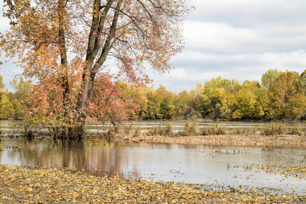 Zaplavená řeka Missouri v podzimních barvách scenérie — Stock fotografie