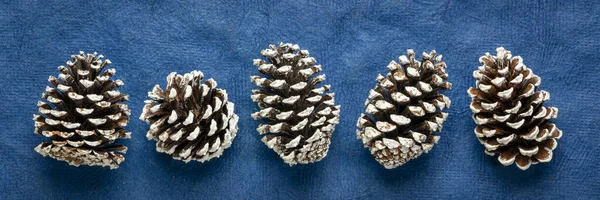 Linha de cones de pinheiro decorativos gelados — Fotografia de Stock