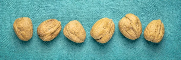 Грецкие орехи на бумаге ручной работы — стоковое фото