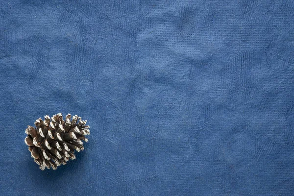 Cône de pin décoratif givré sur fond bleu — Photo