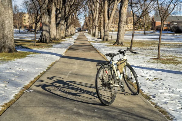 Bisikletli eski Amerikan karaağaç sokakları — Stok fotoğraf