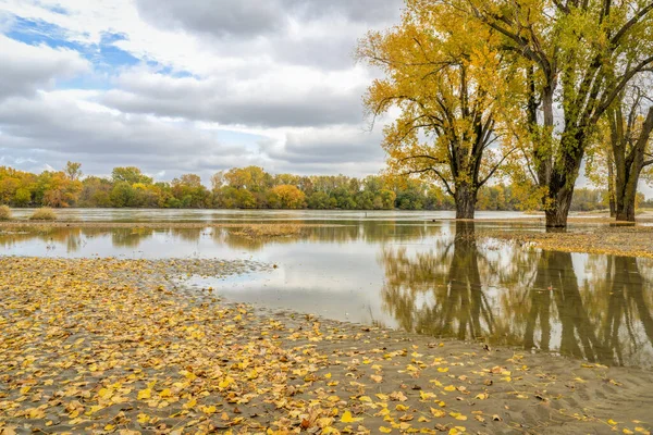Ribera inundada del río Missouri — Foto de Stock
