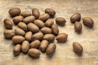 sert kabuklu ceviz kabuklu el yapımı kabuk kağıdı