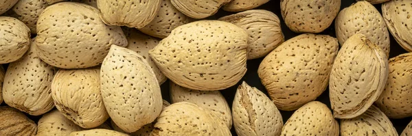 Almendras Cáscaras Fondo Primer Plano Concepto Superalimentos Pancarta Panorámica —  Fotos de Stock