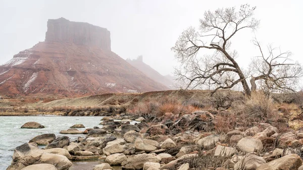 Colorado River Vid Rocky Rapid Ovanför Moab Utah Dimmig Vinter — Stockfoto