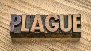 Tahta tahtalar, sağlık ve hastalık kavramına karşı eski harflerle yazılmış veba kelimesi tahta blokları
