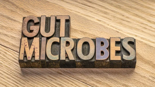 Gut Microbes Vintage Letterpress Wood Type Blocks Grained Wood Planks — Stock Photo, Image