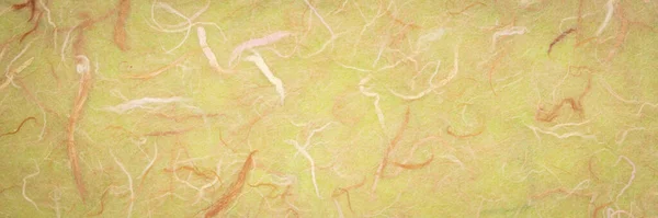 Background Light Green Textured Handmade Mulberry Paper Panoramic Web Banner — Stock Photo, Image