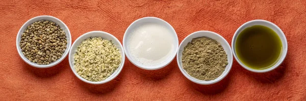 收集大麻种子产品 蛋白质粉 牛奶和油在小的白色碗中与有纹理的橙纸 全景网页横幅 超级食物概念 — 图库照片