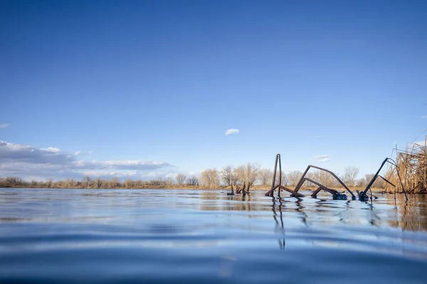 コロラド州の早春にリードと穏やかな湖 低角度ビュー — ストック写真