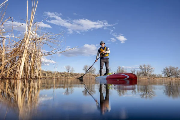 ウェットスーツのシニア男性パドラーは コロラド州 冬または早春の風景 低角度アクションカメラビュー レクリエーション フィットネス トレーニングコンセプトの湖でスタンドアップパドルボードを漕いでいます — ストック写真