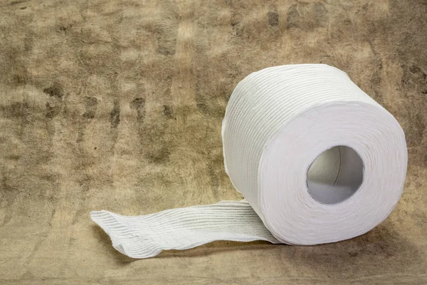 Roll Wit Toiletpapier Close Tegen Grunge Handgeschept Papier Persoonlijke Hygiëneproducten — Stockfoto