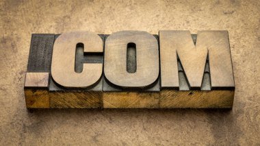 dot com iş alanı internet alanı - grunge el yapımı kağıt karşı klasik harf baskı tahta blok metin