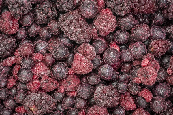 Donmuş böğürtlenler yakın plan - yabanmersini, ahududu ve böğürtlen