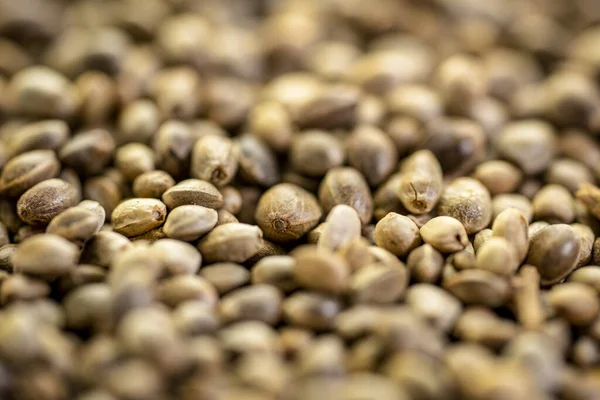 Closeup Background Organic Dried Hemp Seeds Selective Focus — Stock Photo, Image