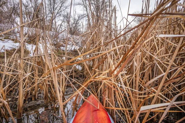 コロラド北部の湖の葦の上に立つパドルボードやカヤックの弓雪と早春の風景 — ストック写真