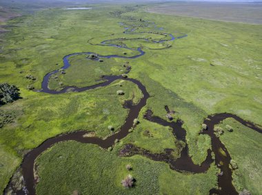 Illinois Nehri Arapaho Ulusal Vahşi Yaşam Sığınağı 'ndan geçiyor. Walden, Colorado yakınlarındaki North Park.