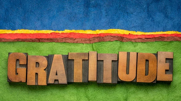 Gratitude Word Vintage Letterpress Wood Type Blocks Colorful Bark Paper — Stock Photo, Image