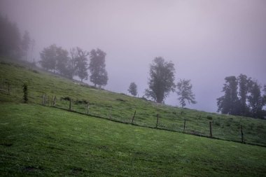 Manzara Urkiola Milli Parkı'nda Bask Ülkesi İspanya