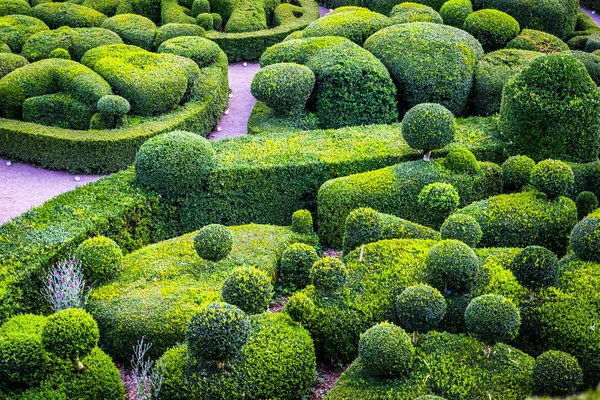 Gärten des Schlosses von Marqueyssac — Stockfoto