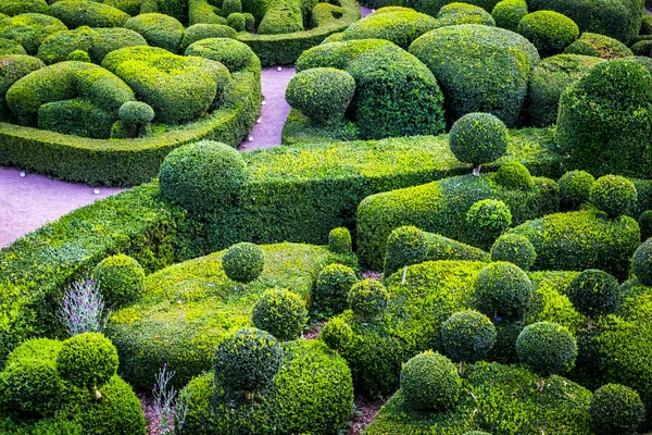 Gardens of the castle of Marqueyssac — Stock Photo, Image