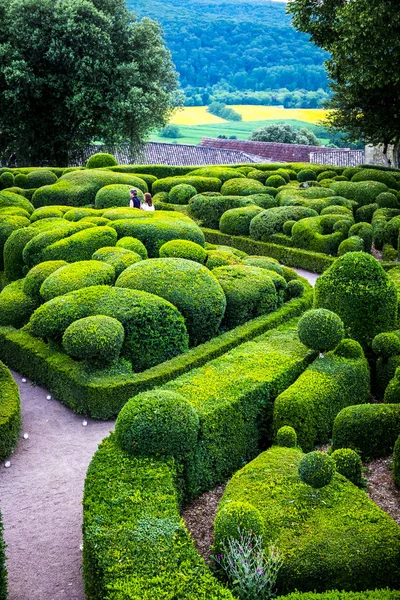 Gardens of the castle of Marqueyssac — Stock Photo, Image