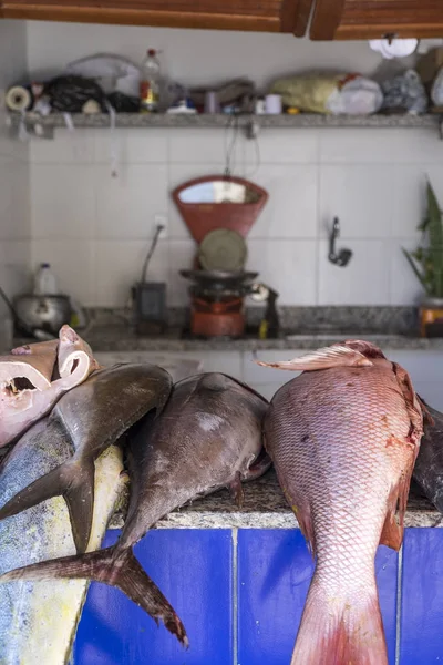 Fisch zum Verkauf in der Nähe des Yemanja Tempels in Salvador Brasilien — Stockfoto