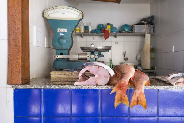 Рыба на продажу недалеко от храма Йемани в Сальвадоре Бразилия — стоковое фото
