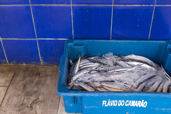 Vis te koop in de buurt van Yemanja tempel in Salvador, Brazilië — Stockfoto