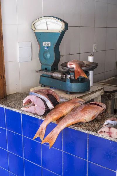 Fisk till salu nära Yemanja tempel i Salvador Brasilien — Stockfoto