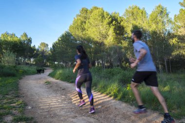 Sant Cugat del Valles Barselona 'daki Volpelleres Ormanı