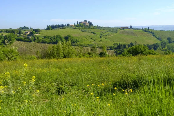 Krajina kolem San Gimignano — Stock fotografie