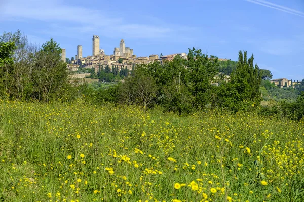 Landskap runt San Gimignano — Stockfoto