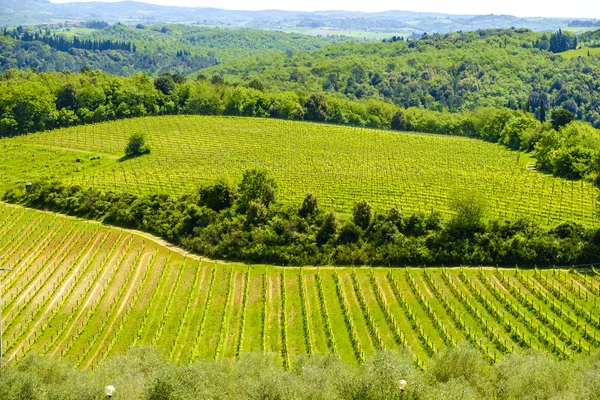 Monteriggioni küçük Ortaçağ tepe kasabada Tusca çevresinde üzüm bağları — Stok fotoğraf