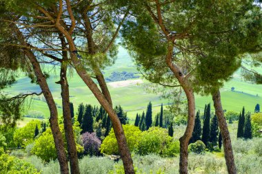 Pienza kırsal genelinde görüntülemek