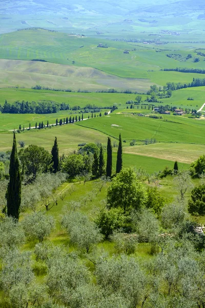 Θέα από το Pienza σε όλη την ύπαιθρο — Φωτογραφία Αρχείου